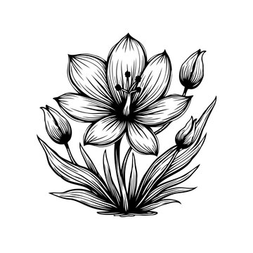 Floral line art: Elegant depiction of a blooming flower with detailed petals