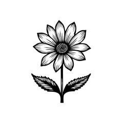 Elegant floral illustration with detailed petals and leaf ornamentation