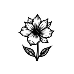 Botanical elegance a stylized monochromatic flower drawing with sharp petals