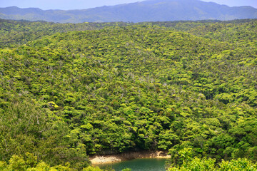 福地ダム・福上湖出水口（沖縄県・国頭郡）