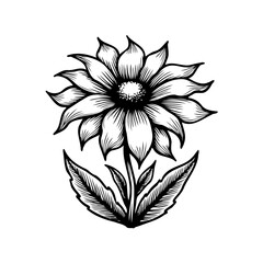 Elegant botanical line art illustration showcasing a blooming flower sketch