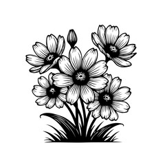 Floral Elegance: A Detailed Botanical Illustration in Black and White Style