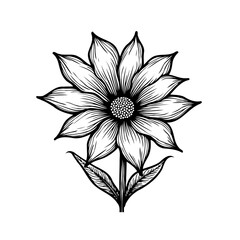 Detailed floral illustration showcases intricate petal patterns and delicate veins