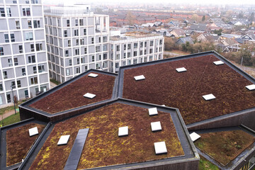 Hexagonal vegetated rooftops viewed from above, showcasing eco-architecture, density management and green design solutions in modern urban residential construction.