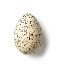 Obraz premium A speckled egg, a treat