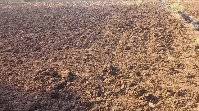 Ploughed field, ready for planting, showing rich brown soil texture under sunlight.