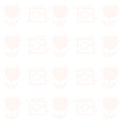 Love sparkle star camera tulip pattern