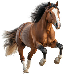 Obraz premium Majestic equine creature captured in a powerful stride, showcasing elegance and movement