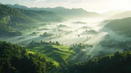 Misty landscape aerial view