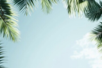 Obraz premium Lush Palm Leaves Against a Pale Sky