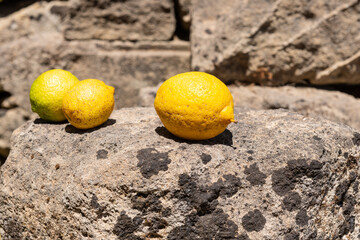 Citrus Fruit on Aged Stone. Three ripe lemons rest on a sunlit weathered stone in Zakynthos, Greece, against a rustic stone wall.