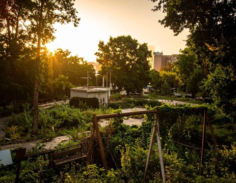 Post Apocalypse Overgrown Ruin