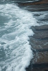 Fototapeta premium bird is standing on the edge of the water