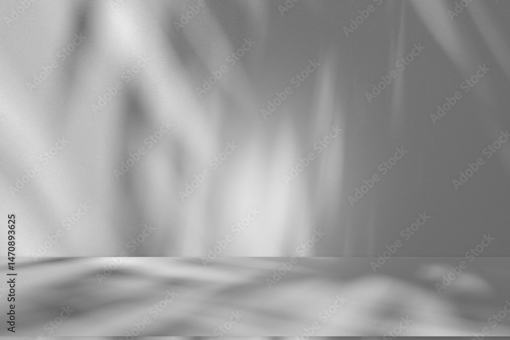 Leinwandbilder Wall interior background, studio and backdrops show products.with shadow from window color white and grey. background for text insertion and presentation product	