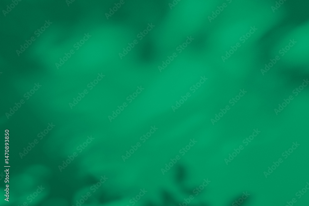 Poster wall interior background, studio and backdrops show products. with leaf shadow from window color gre