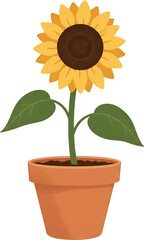 Obraz premium 해바라기 : Sunflower