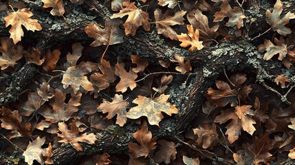 Autumn leaves and mossy tree bark