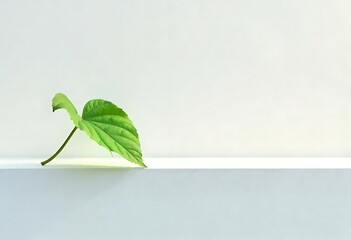 Generative AI A solitary green leaf resting gracefully on a minimalist white surface symbolizing new beginnings