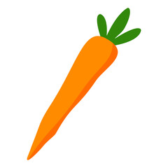 carrot vector illustration