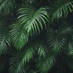 Deep emerald palm leaves, rich textures, sunlight highlights ,  holiday,  paradise