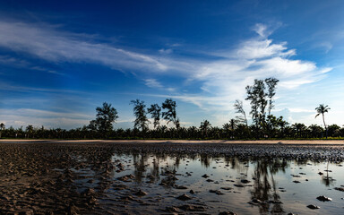 Tropical beach reflecting on wet sand at low tide under blue sky