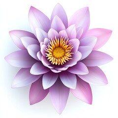 Obraz premium Serene Water Lily in Full Bloom, Delicate Petals Unfurling, Vibrant Yellow Center
