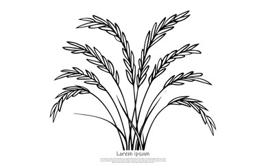 Hand Drawn Oat Stalks with Black Outline Isolated on a Transparent Background