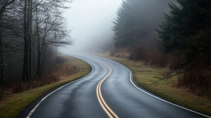 A winding road through the woods in a hazy atmospheric environment