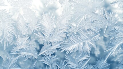 Frost Patterns on Glass