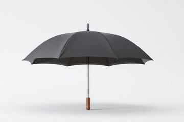 Classic black umbrella, simple elegance.