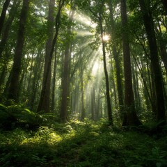 Obraz premium Sunbeams Illuminate Mystical Forest Path