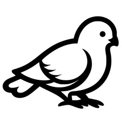 Silhouette of a baby dove