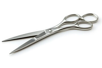Professional stainless steel scissors isolated on a white background showing sharp blades