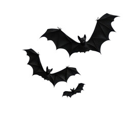 A lively trio of bats soaring through the night sky, showcasing their majestic wings. transparent background