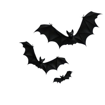A lively trio of bats soaring through the night sky, showcasing their majestic wings. transparent background