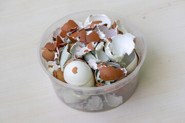 Broken egg shells in a plastic container. Eggshell waste is organic waste. This Crushed egg shells...