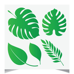 A vector set showcases fresh green leaves, a natural illustration for eco design