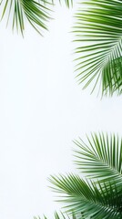 Naklejka premium Tropical palm leaves frame a white background. Lush green fronds surround a blank space