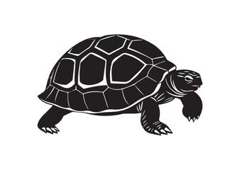 Tortoise Silhouette Vector