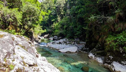 Fototapeta premium 渓谷を流れる清流と岩場