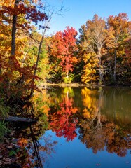 秋色に染まる紅葉の湖畔