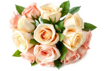 Obraz premium Elegant cream roses bouquet, isolated on white, cream roses, graphic