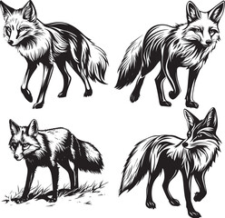Obraz premium Fox Svg Bundle