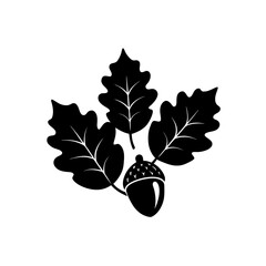 Obraz premium acorns and oak leaves silhouette on white 