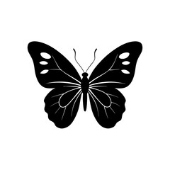butterfly silhouette on white background  .svg