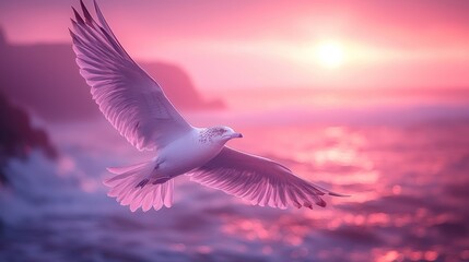 Obraz premium Seagull soars at vibrant sunset