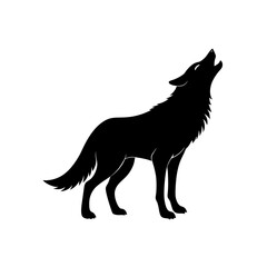 coyote howling silhouette on white background  