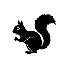 forest squirrel silhouette on white background 