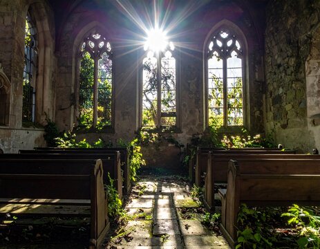 Post Apocalypse Overgrown Ruin