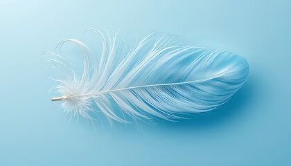 Delicate White Feather Texture: Close-Up on a Soft Blue Background

